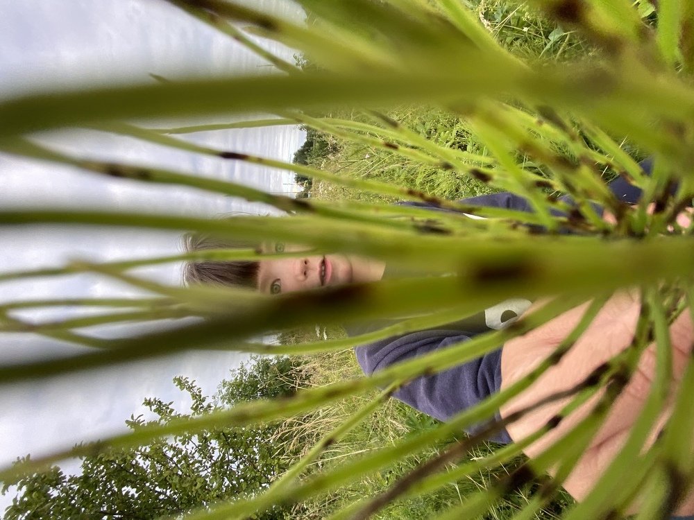 Photograph by Марина Цветкова