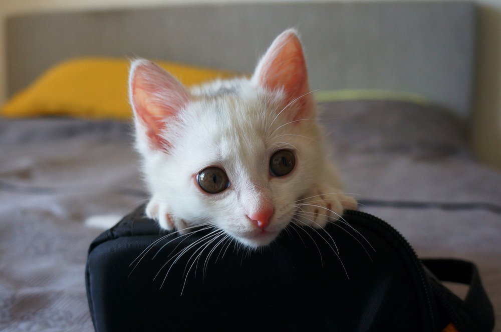 Photograph by Наталия Белозерова