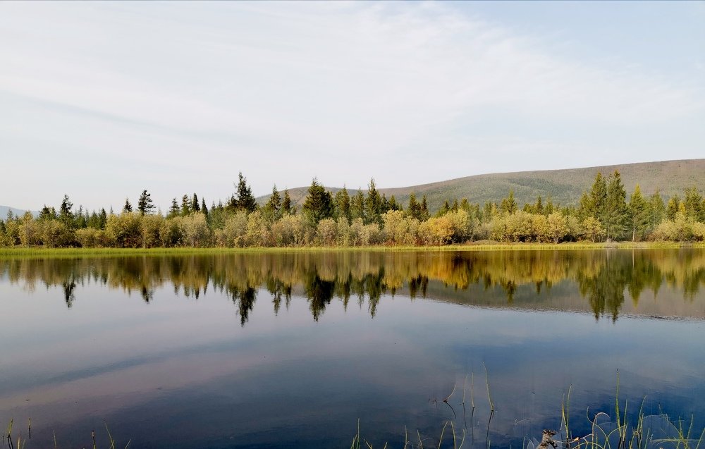 Photograph by Светлана