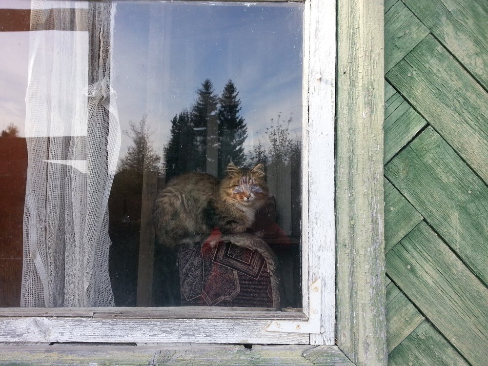 Photograph by Наталия Белозерова