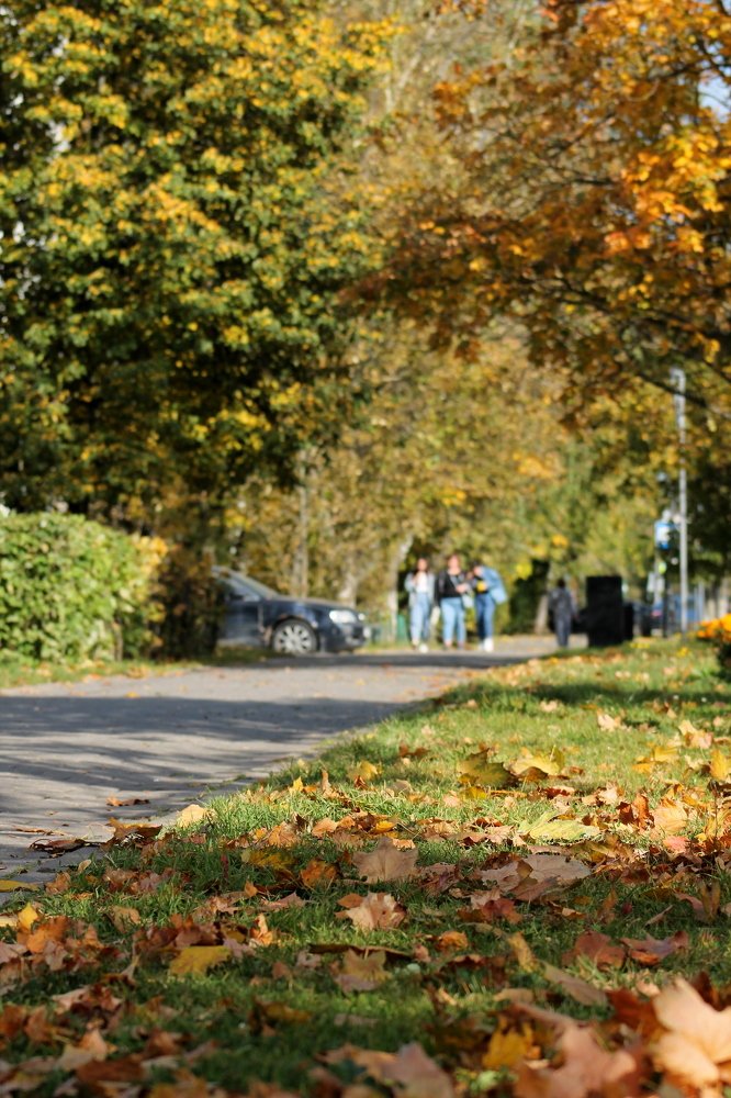 Photograph by Александр Быкадоров