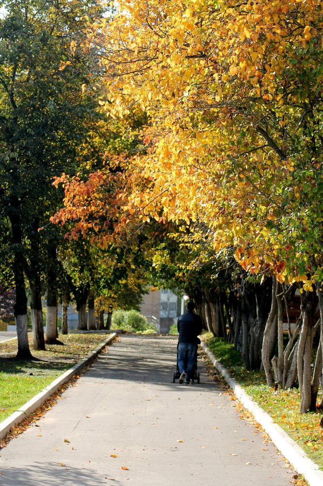 Photograph by Александр Быкадоров