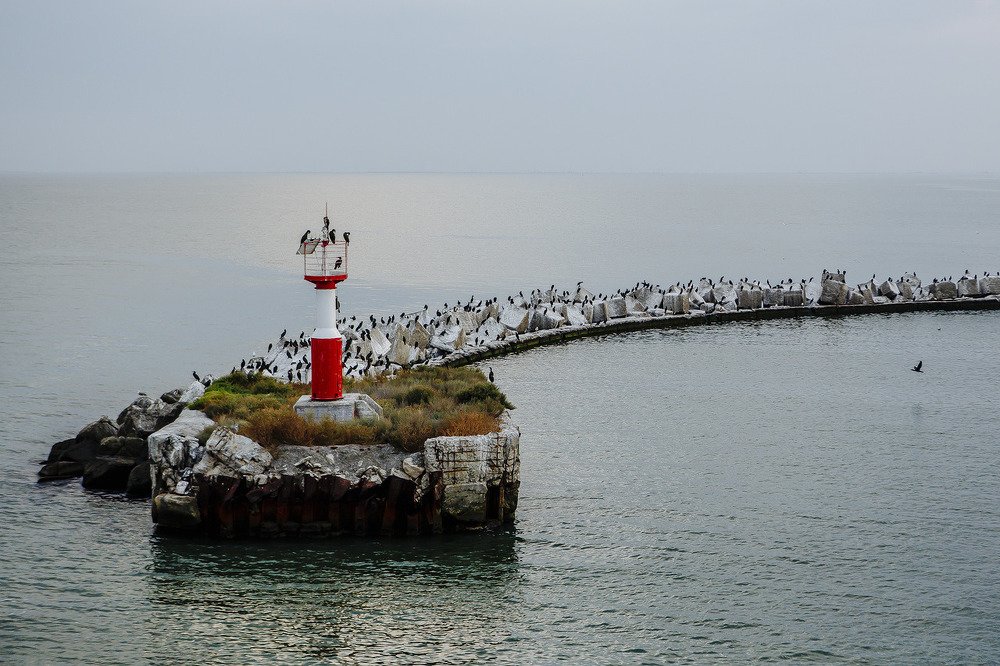 Photograph by Игорь Глазко