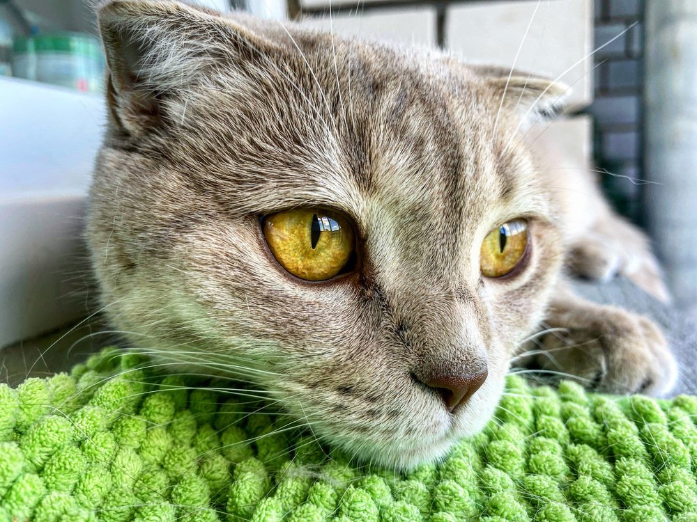 Photograph by Марина Цветкова