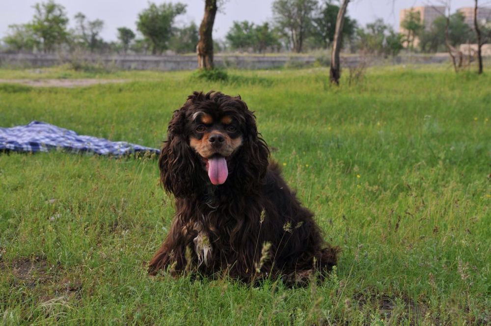 Photograph by Inessa Botasheva