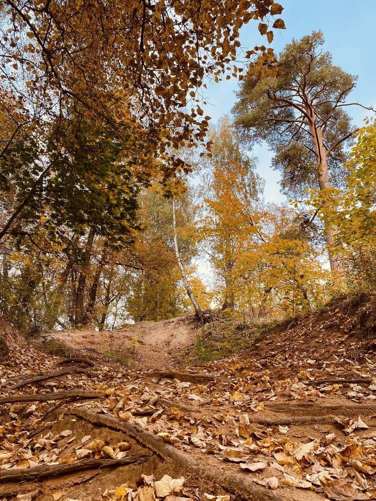 Photograph by Марина Цветкова