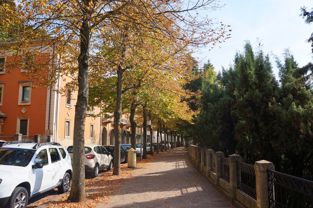 Photograph by Наталия Белозерова