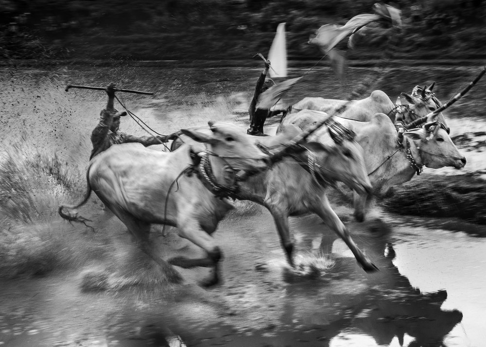 Photograph by Huynh Loc