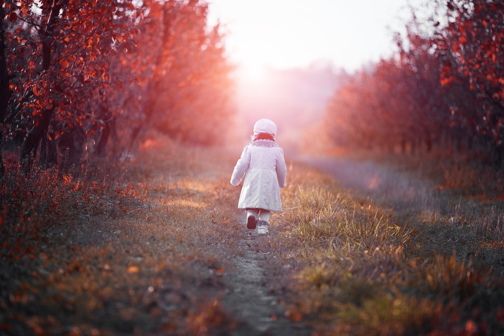 Фотография автора Сергей Пашковский