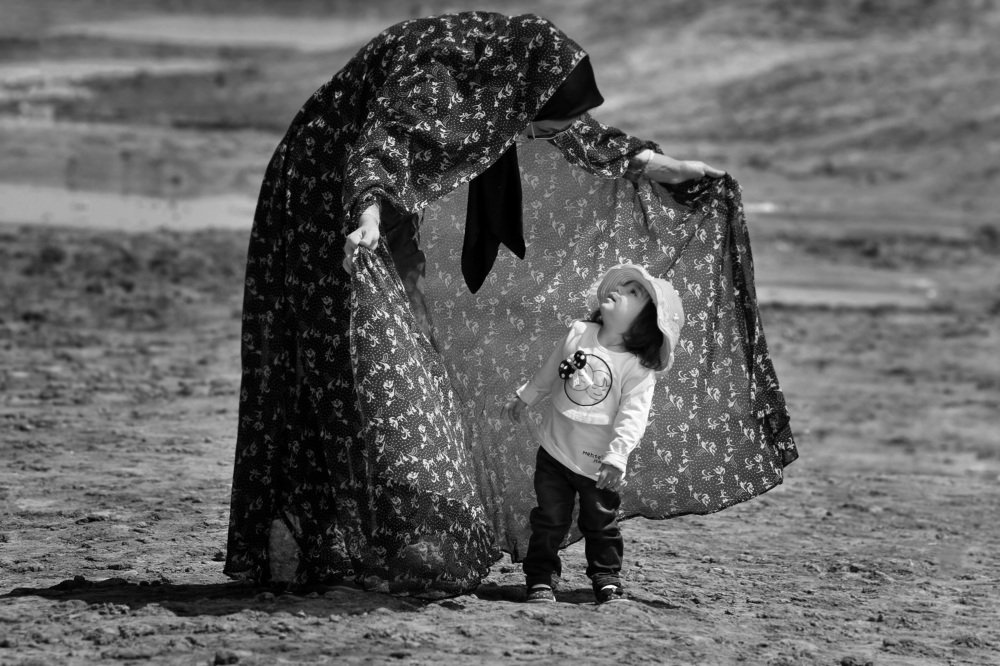 Фотография автора yaser mohamadkhani