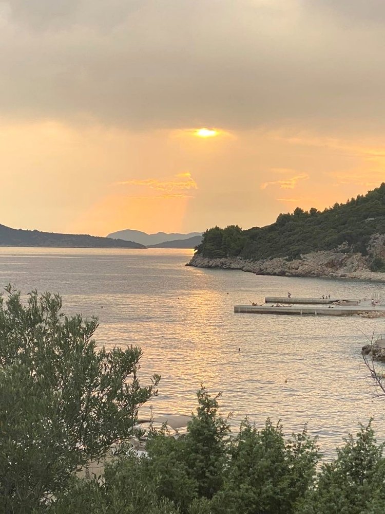 Photograph by Алина Верник