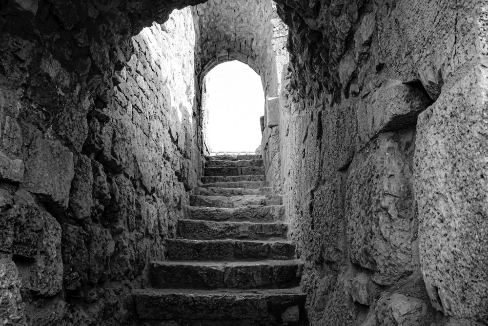 Photograph by Ali Abu Ras