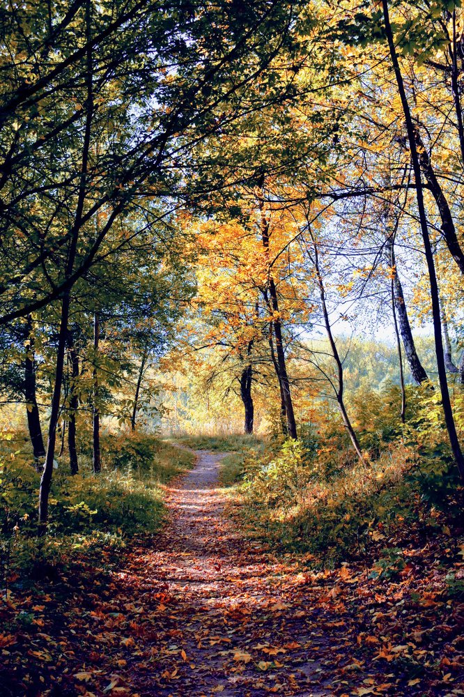 Photograph by Михаил Бородкин