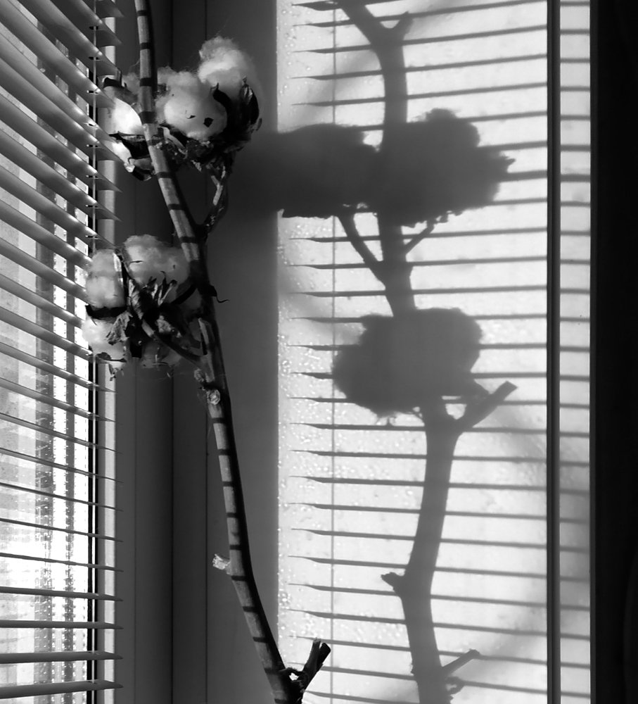 Photograph by Алёна Гильмуллина