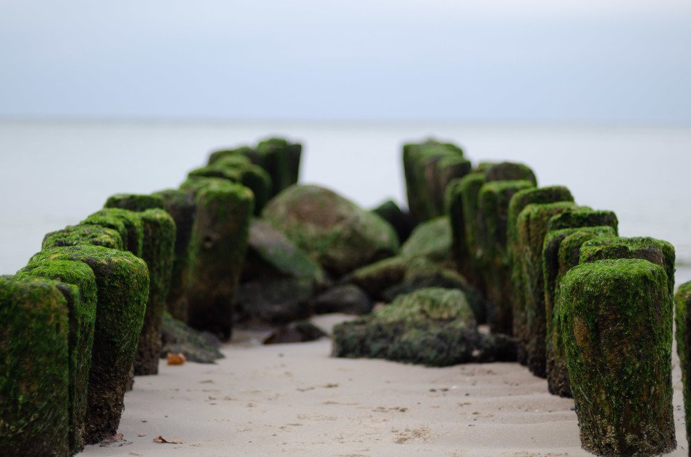 Photograph by Павел Юнусов