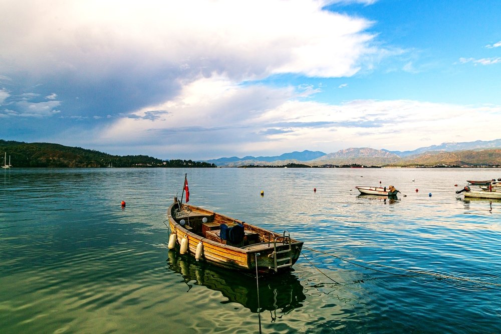 Фотография автора Turgay Uykusuz