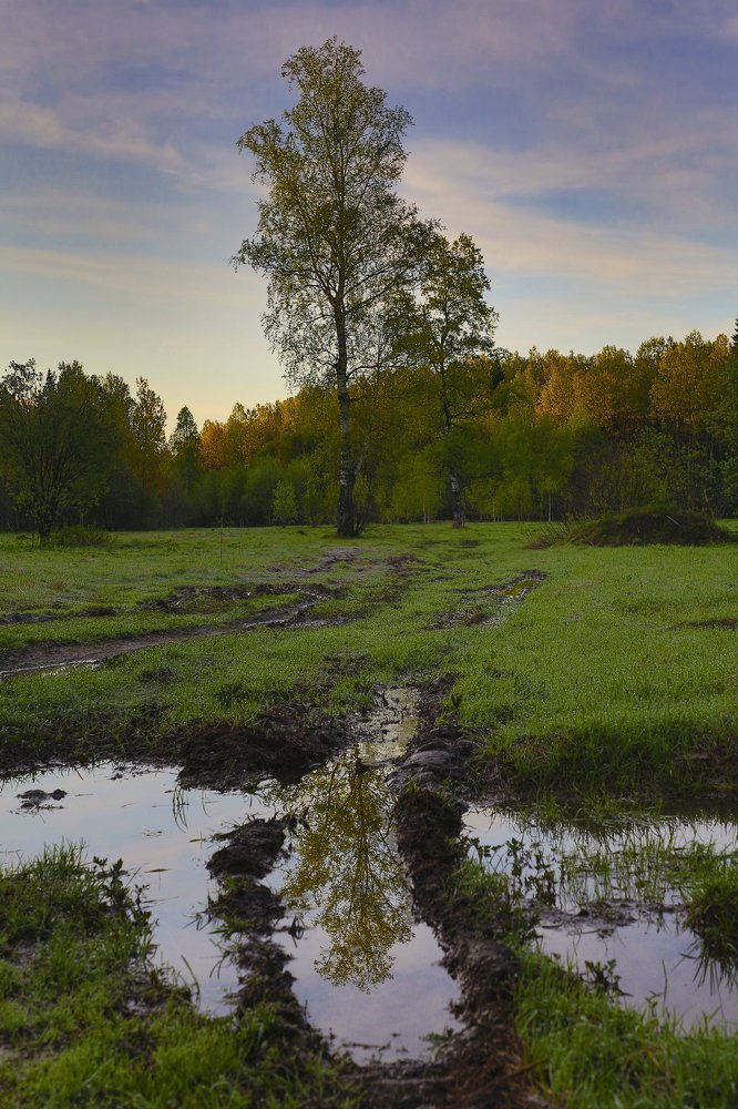 Photograph by Максим Попурий