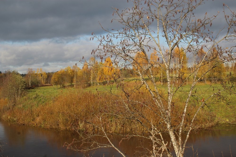 Photograph by Ирина Толокнова