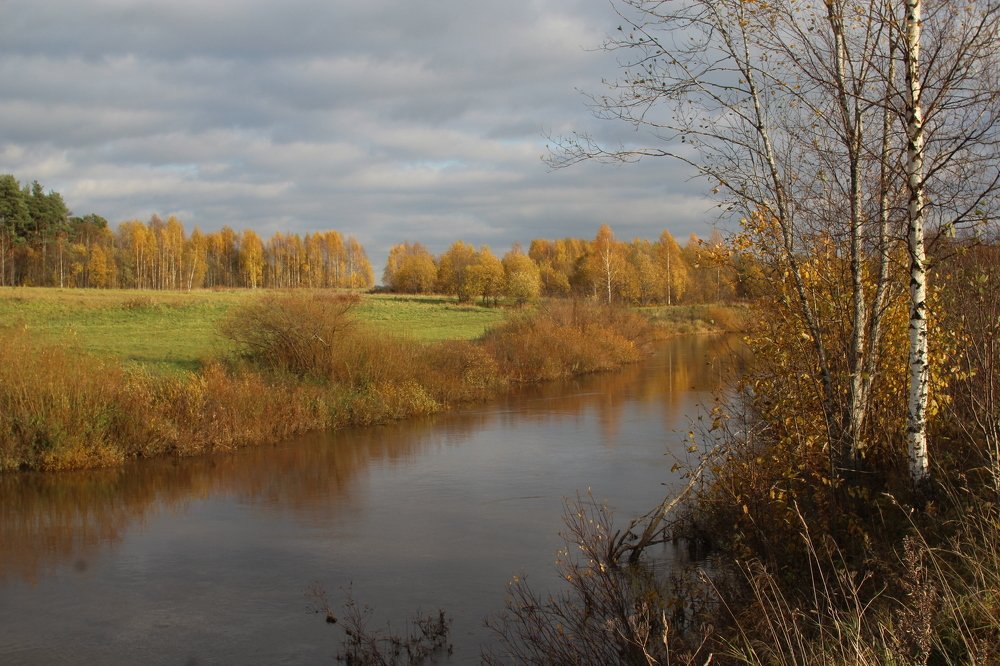 Photograph by Ирина Толокнова