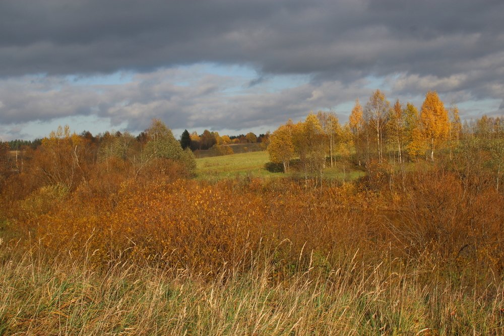 Photograph by Ирина Толокнова