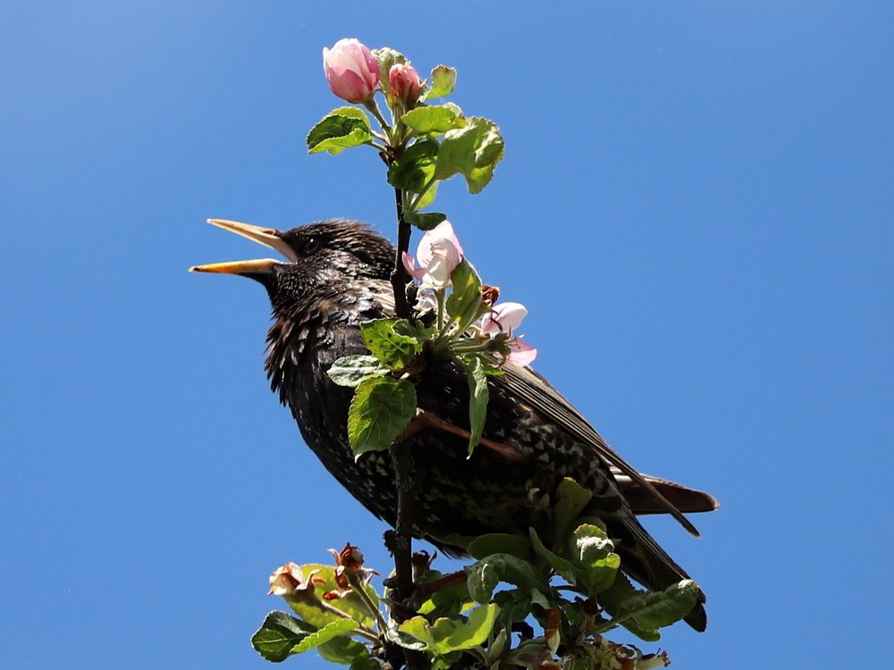 Photograph by Екатерина Мстиславская