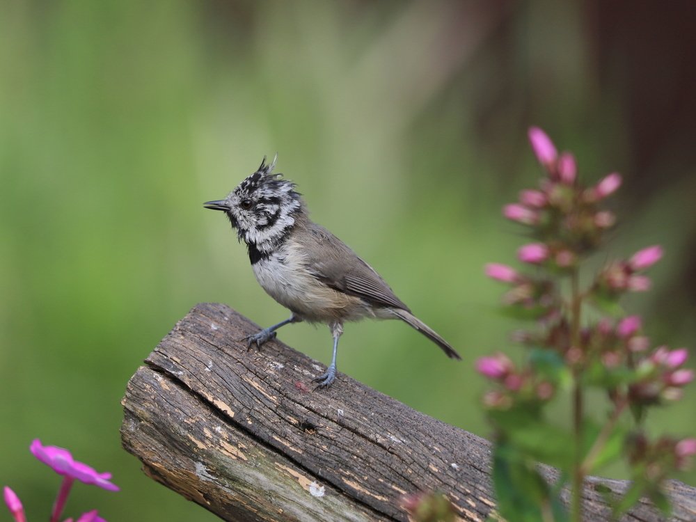 Photograph by Екатерина Мстиславская