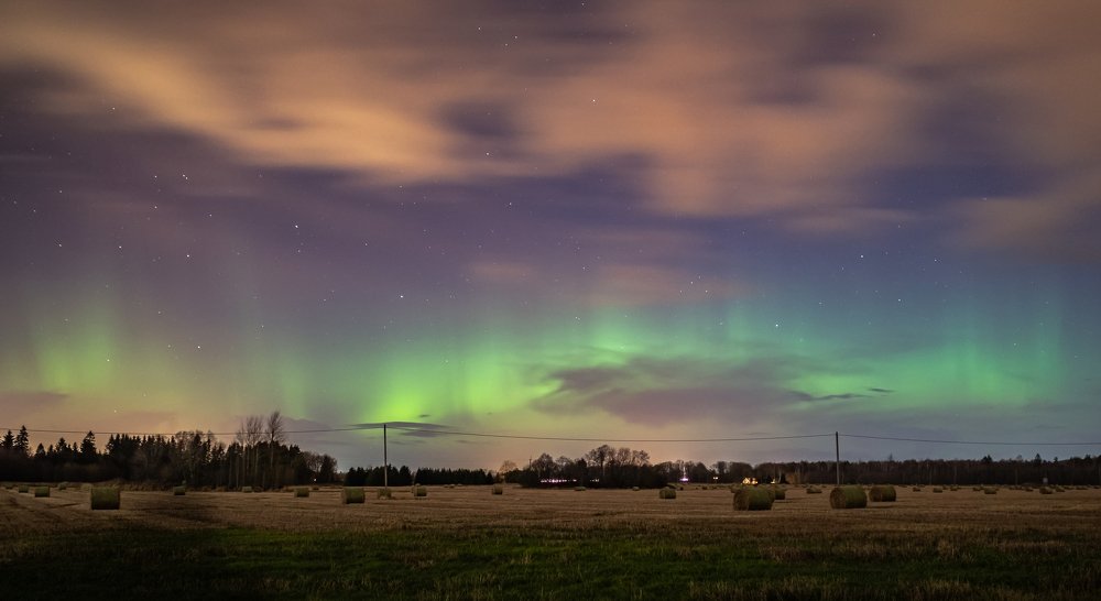 Photograph by Ольга Линк