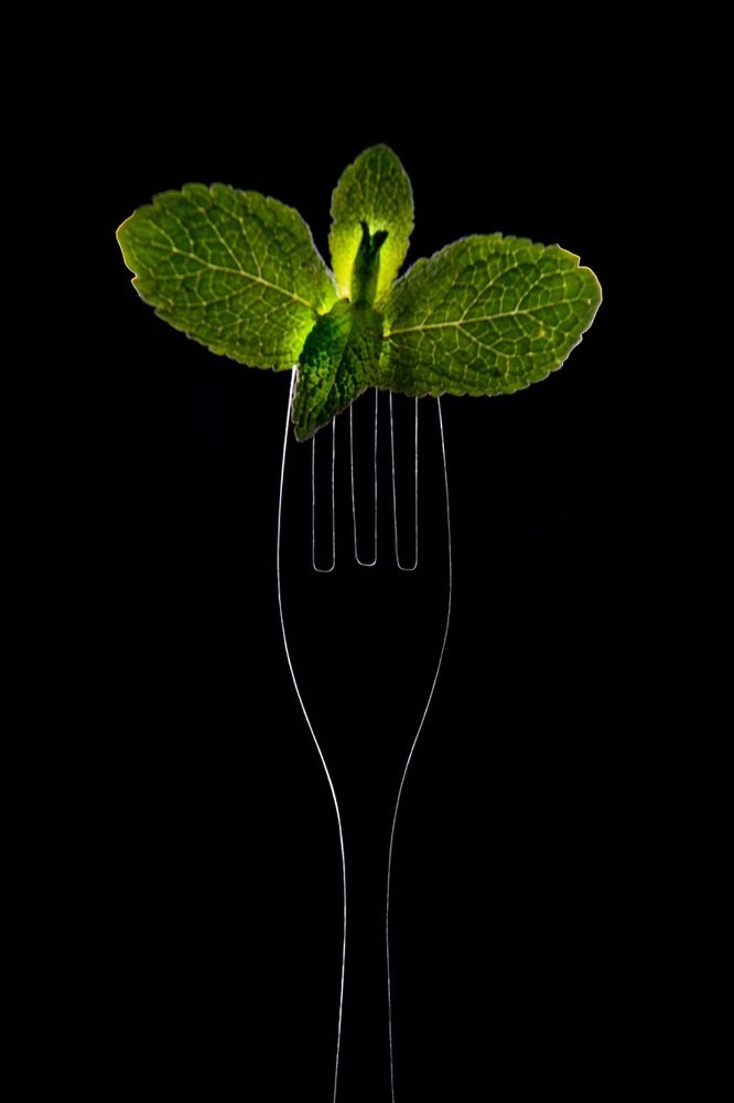 Photograph by Константин Чимбай