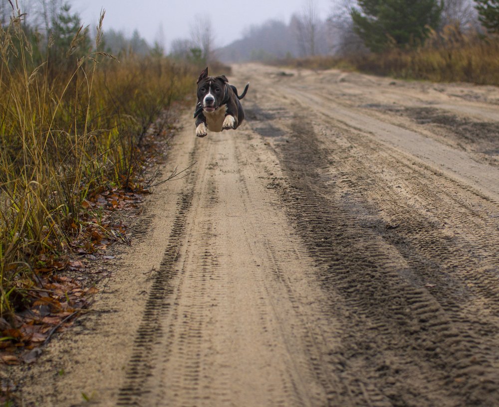 Полёт нормальный.