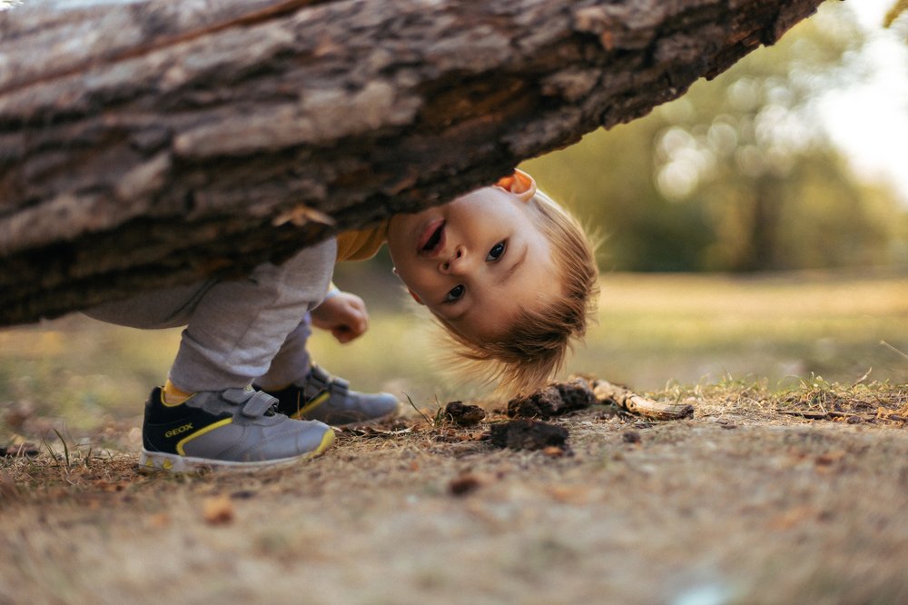 Photograph by Алиса Волошина