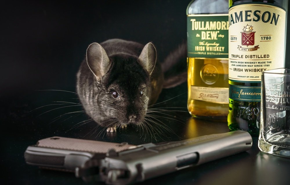 Photograph by Полякова Наталия Григорьевна