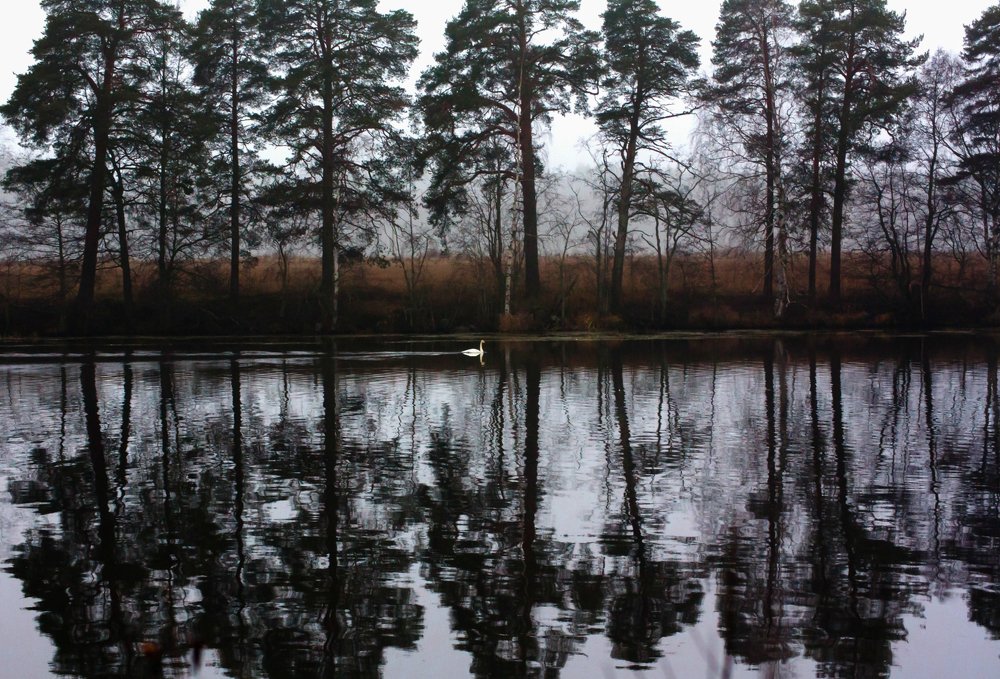 Photograph by Elena Noeva