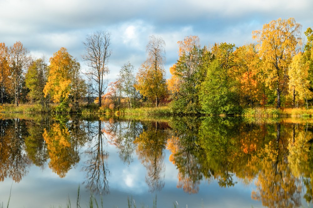 Photograph by Elena Noeva