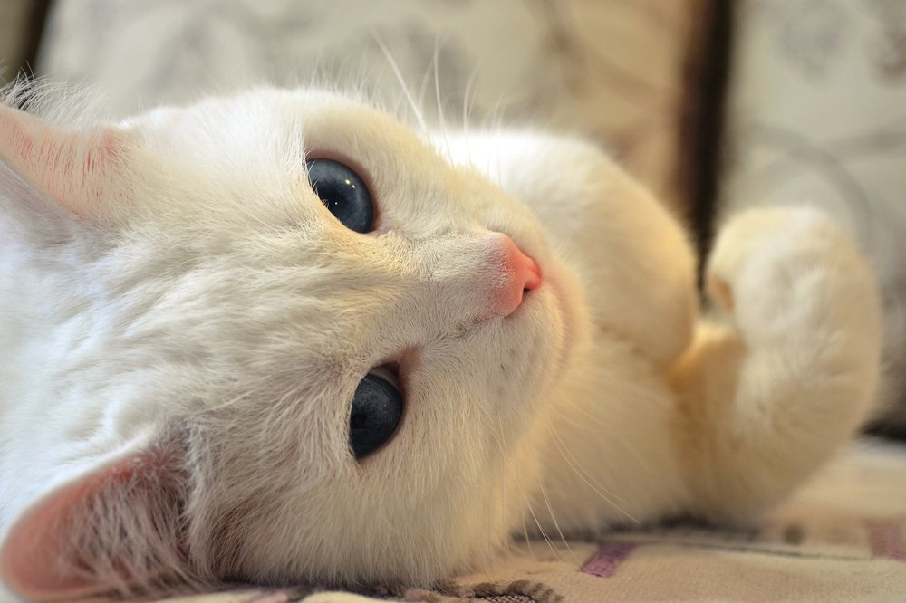 Photograph by Яна Бовольская