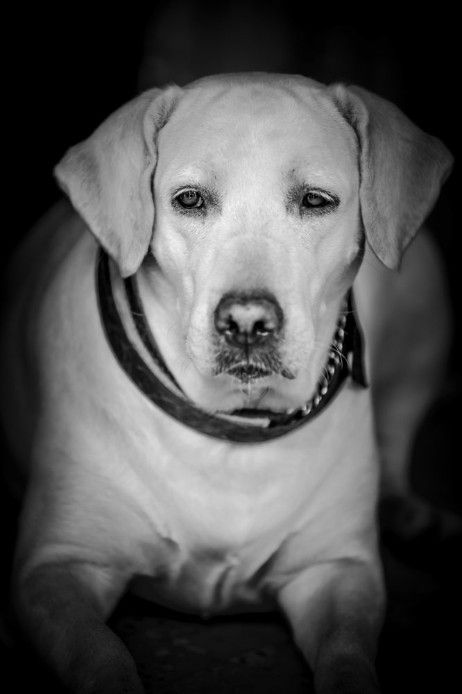 Photograph by Rohan Prajapati