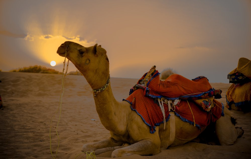 Photograph by Rohan Prajapati