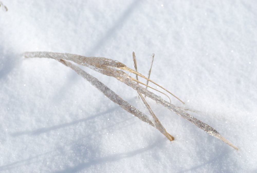 Photograph by Оксана Трофименко