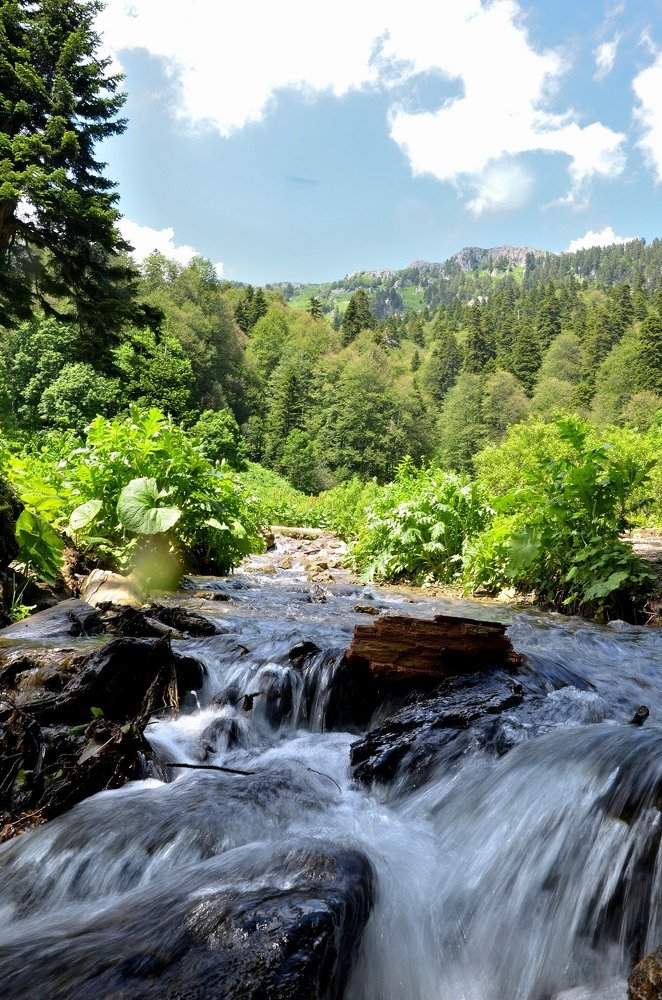 Photograph by Рената Митрова