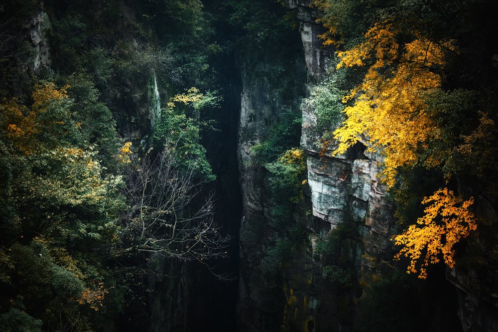 Photograph by Рашид Усманов