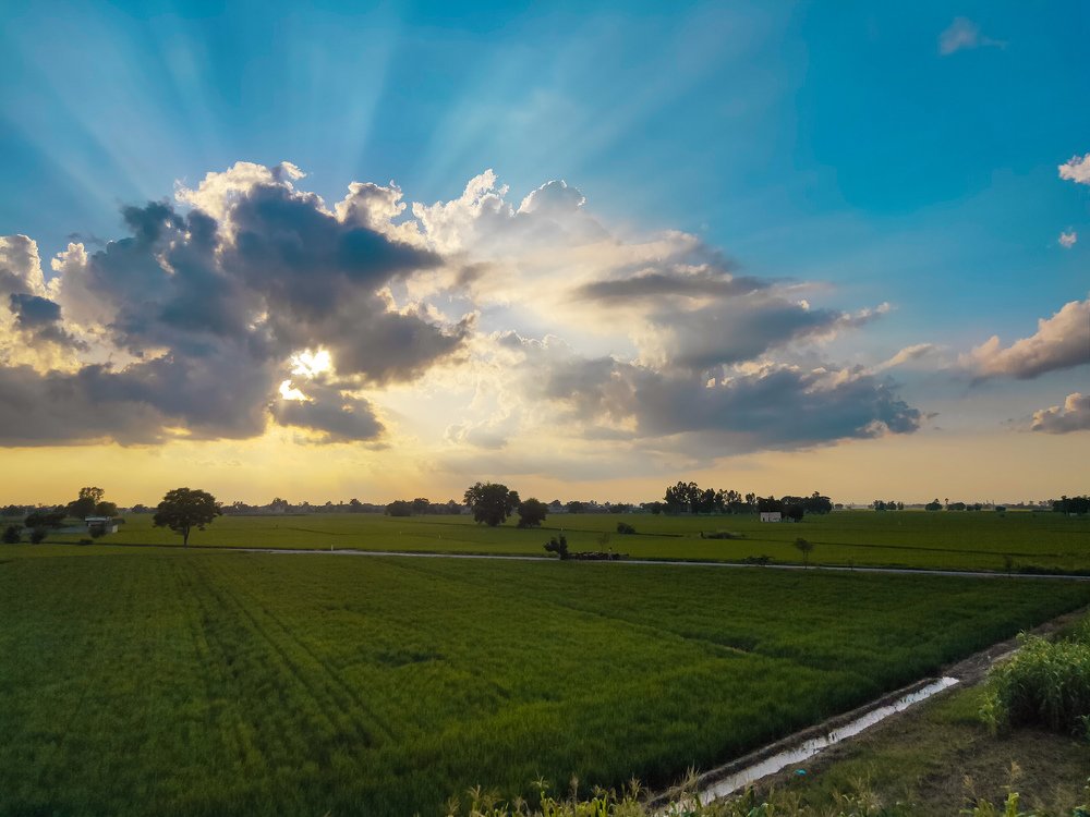 Rays of Hope