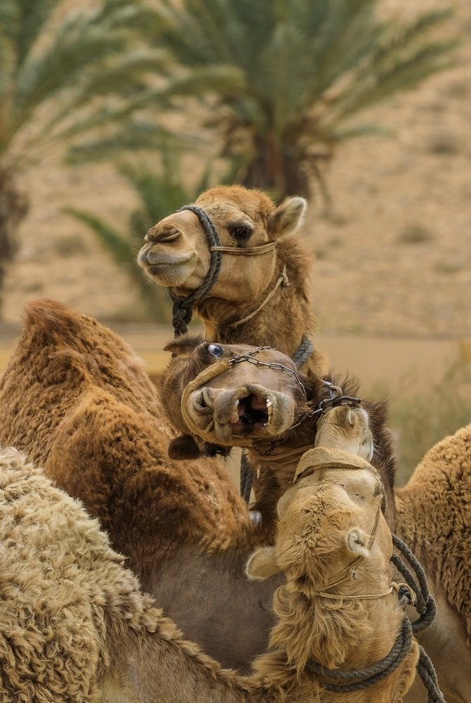 Photograph by Полякова Наталия Григорьевна