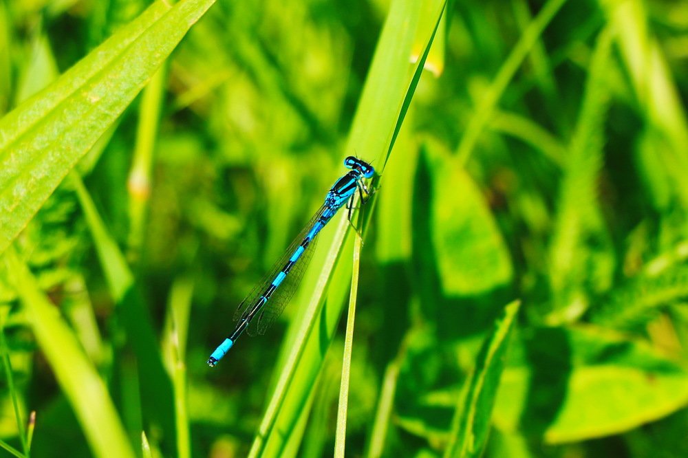 Photograph by Turcu Ovidiu Gabriel