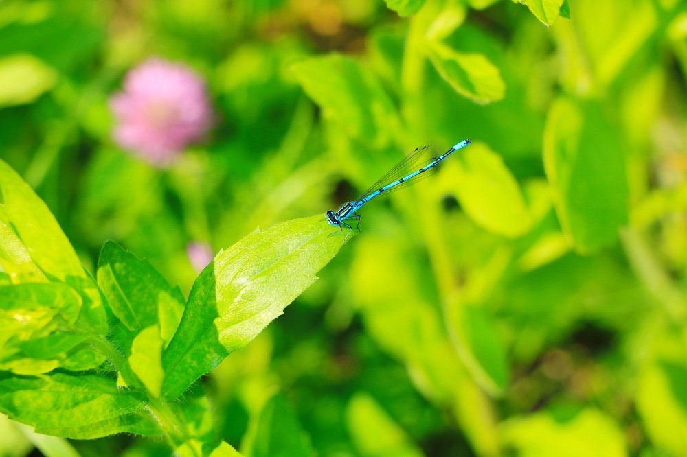 Photograph by Turcu Ovidiu Gabriel