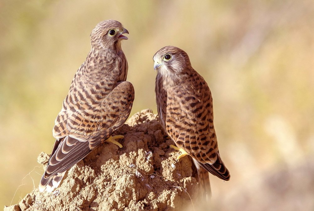 Photograph by Александр