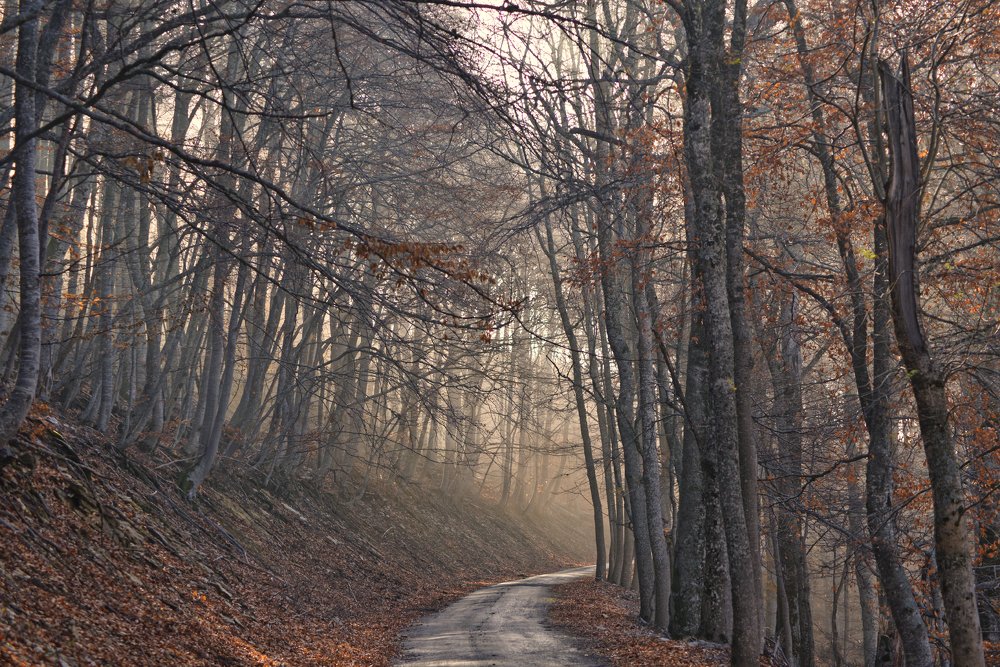 Photograph by Валентин Атрохов