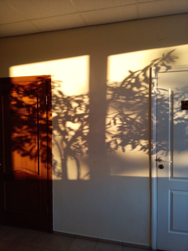 Photograph by Татьяна Пальчикова