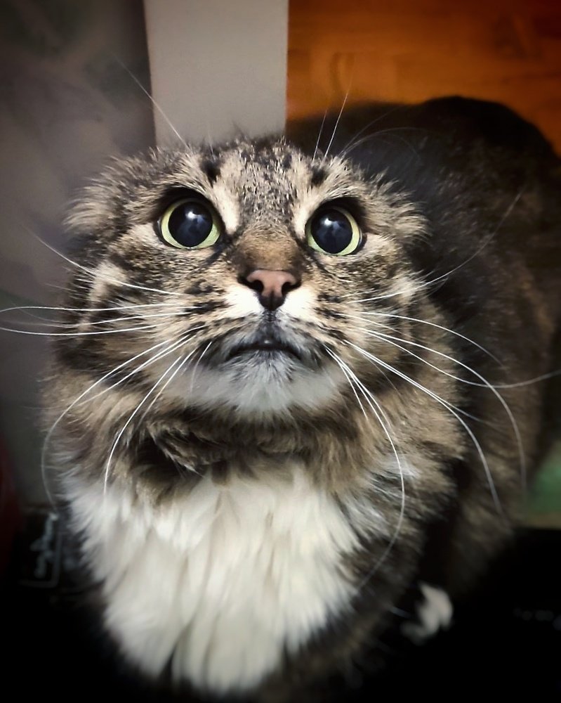 Photograph by Алеся Писнова