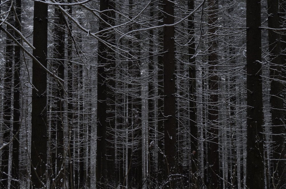 Препятствие.