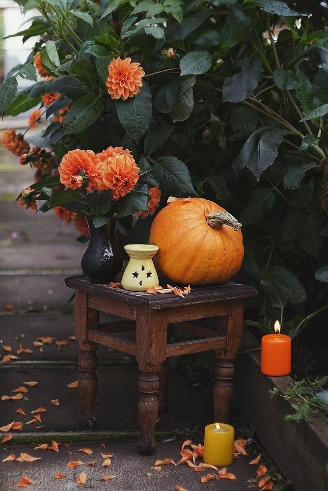 Photograph by Наталья Шленкина