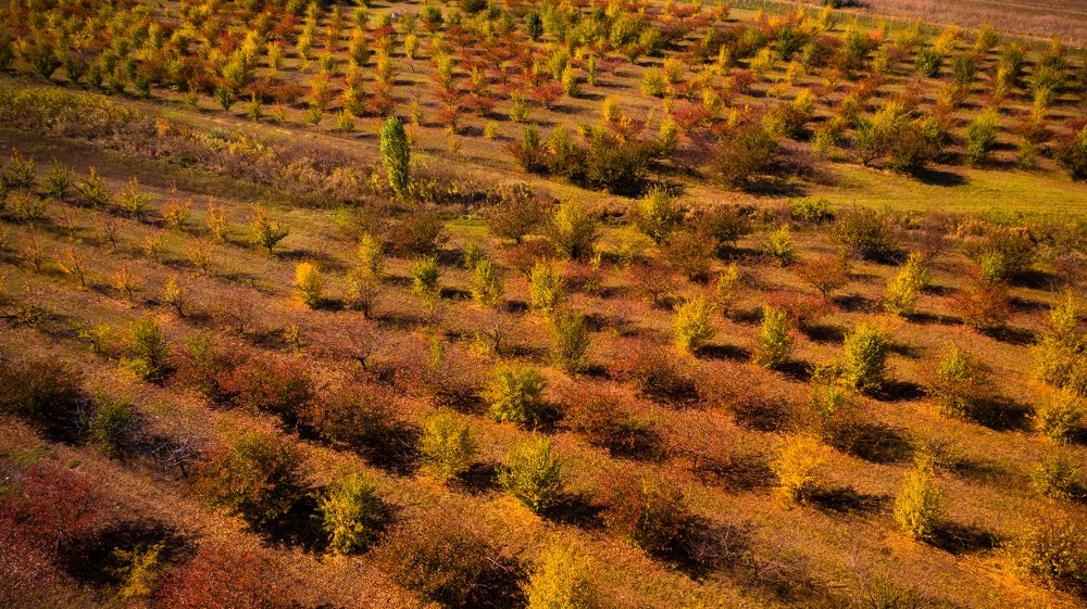 Photograph by Сергей Лазуткин